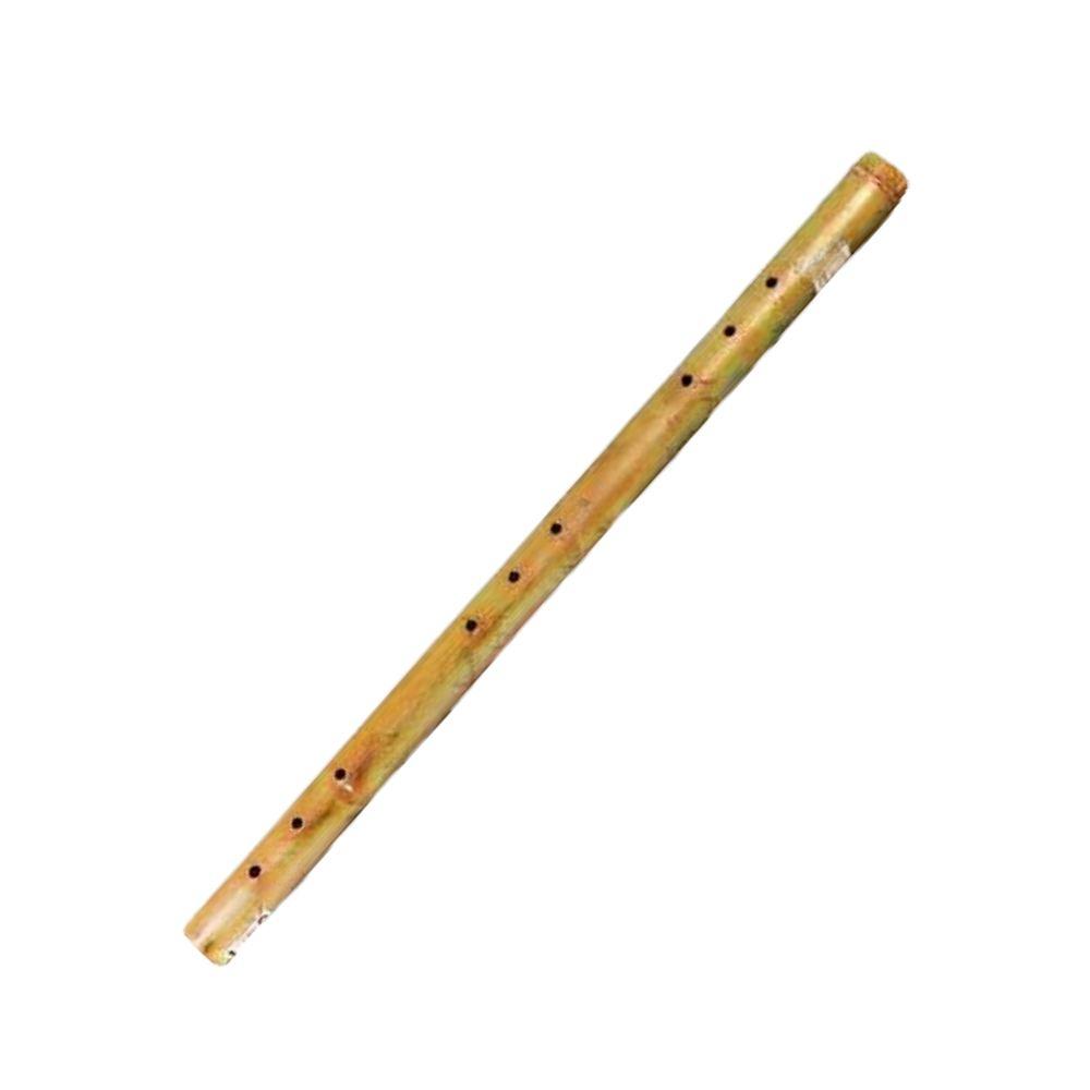 میل فرمان کله 6گوش